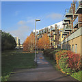 Rustat Avenue: balconies and birch leaves