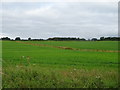 Fields near The Weir