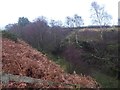 The approach to The Summit from Alnwick