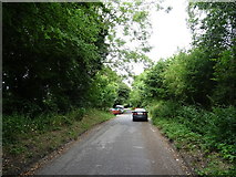 SU0972 : Lane towards Winterbourne Monkton by JThomas