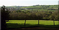 Woodland in the Venn Brook valley