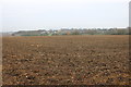 Field by Dodds Lane, Lovetts End