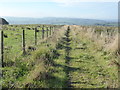 The Pennine Bridleway near Knarrs Farm