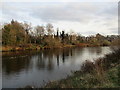 River Clyde at Kylepark