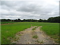 SU1258 : Track and field near Hilcott by JThomas