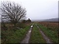 Public bridleway to Chirton Bottom