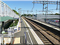 Camelon station, looking east