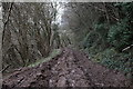 Logging on the Usk Valley Walk