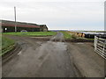 Minor road at Quarryburn Farm