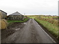 Minor road at Stonebriggs Farm