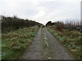 Enclosed track leading to Woodhead Croft