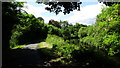 On Lagan Valley Towpath at Ballynahatty, Belfast