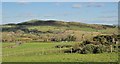 Guiness Mountain from near the Slieve Croob Airfield