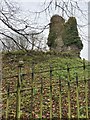 Castle ruin