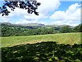 Farmland south of Rhydymain