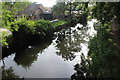 Basingstoke Canal at Brookwood