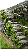 C3619 : At Grianan Ailigh Fort, Co Donegal (steps) by Colin Park
