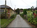 Lane near All Saints Church, Middle Woodford