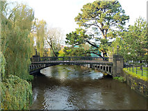 W6671 : Bridge over River Lee, south channel by Robin Webster