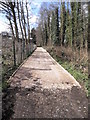 Liss Riverside Railway Walk