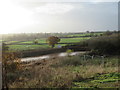 New pond next to Yew Tree Hill development, Droitwich