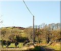 Telecommunications masts on Hamilton