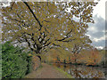 Tiverton : Grand Western Canal