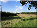 Stubble field by Clay Dick