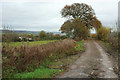 Track from Dundry Lane