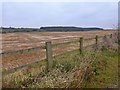 A field of stubble below Gotham Hill