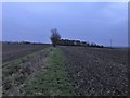 Farmland on Beacon Hill