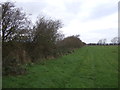 Public footpath to Whitelees