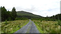 F9509 : View N along forestry track at Shranawoad River Br, Nephin Beg Mtn by Colin Park