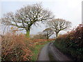 Heol fach ger Penderi /  Minor road near Penderi