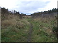 Path beside the Cumbrian Coast Line