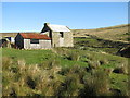 Rigg House and the valley of Bolt