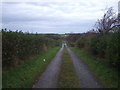 Track to West Ghyll End Farm