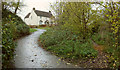 Paths by the Chew Stoke Brook