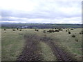 Access to grazing land near Syke Whins Farm