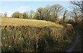 Field near Hazard Quarry