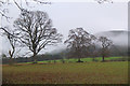 NT2538 : Trees in farmland, Bonnington by Jim Barton