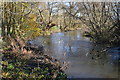 River Nadder near Ugford