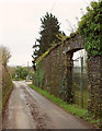 Gateway in wall, North Huish