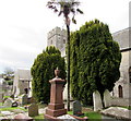 SS9668 : Yews in St Illtud's churchyard, Llantwit Major by Jaggery
