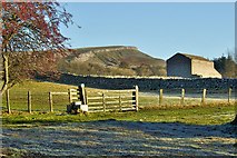 SD9789 : Gate, barn and Ivy Scar by Mick Garratt