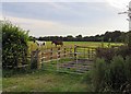 Footpath towards Wymondham