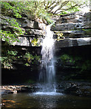 NY9028 : Summerhill Force and Gibson's Cave by habiloid