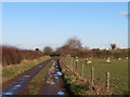 Low Moor Lane