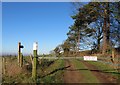 Footpath at West Harlsey