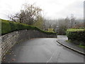 Hedges and walls, Cwrt y Camden, Brecon